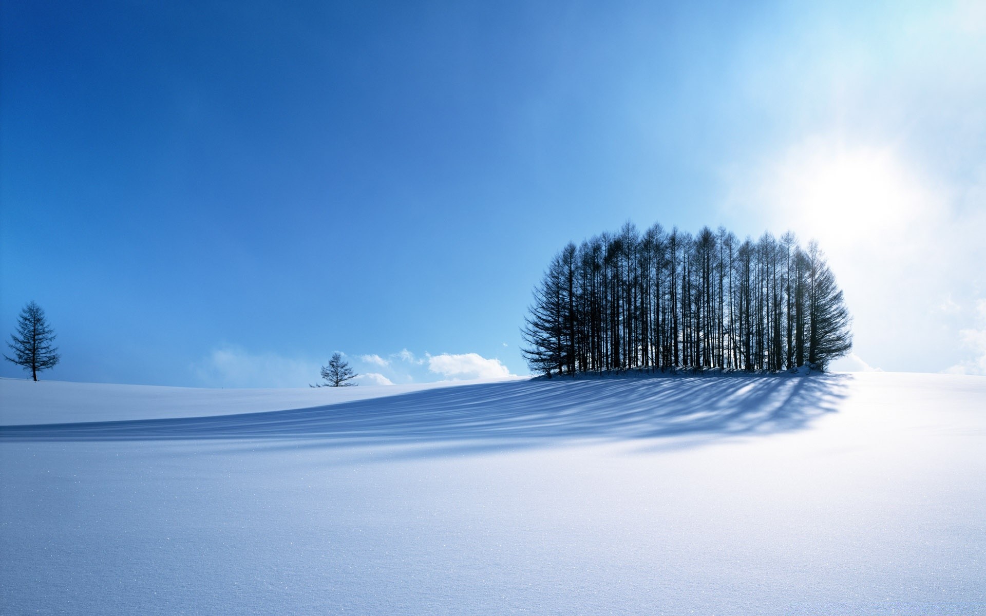 asia neve inverno freddo legno natura gelo paesaggio all aperto cielo ghiaccio legno meteo congelato bel tempo