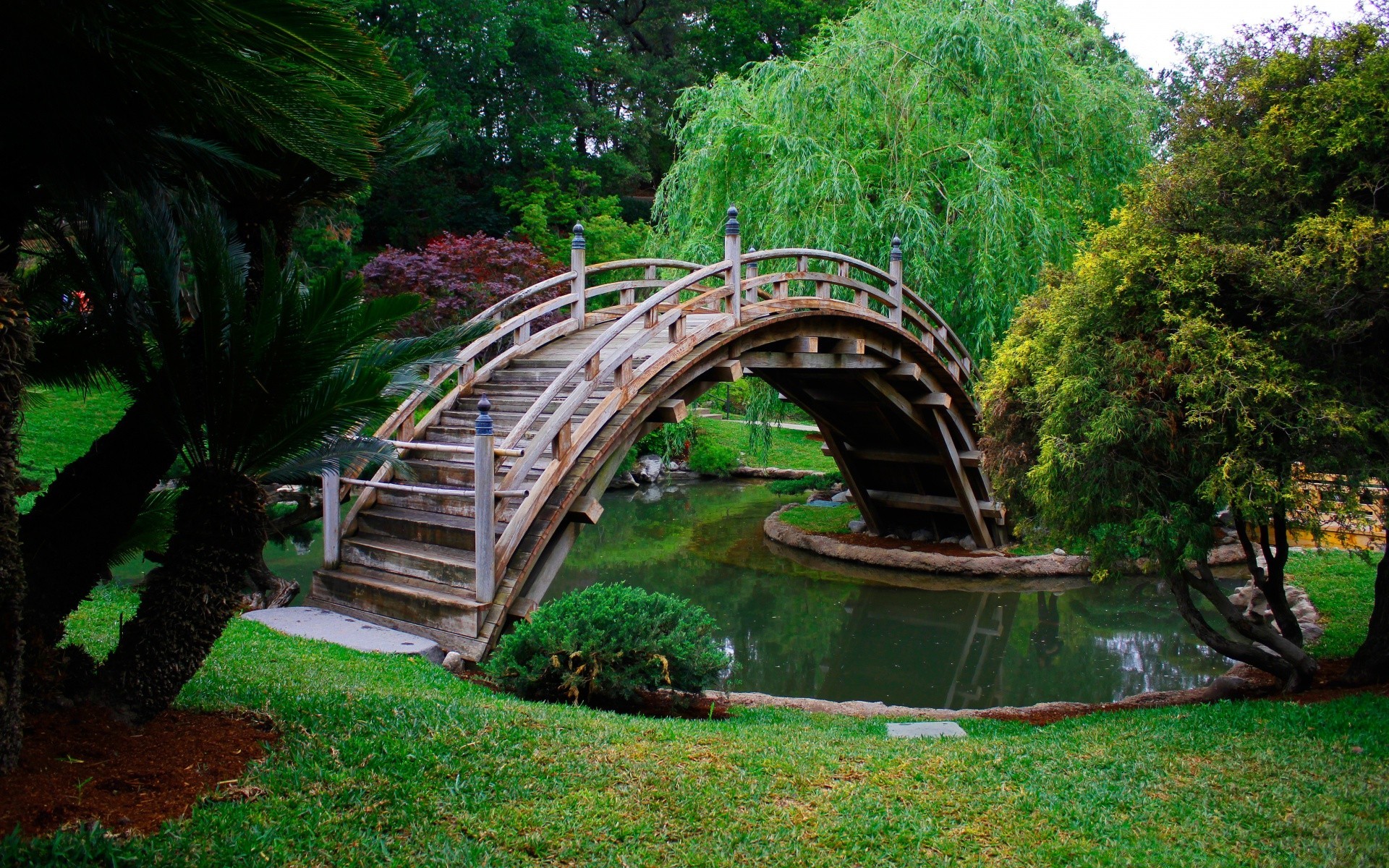 asya ahşap ağaç bahçe park doğa su köprü açık havada yaprak yaz seyahat çimen ahşap manzara güzel flora