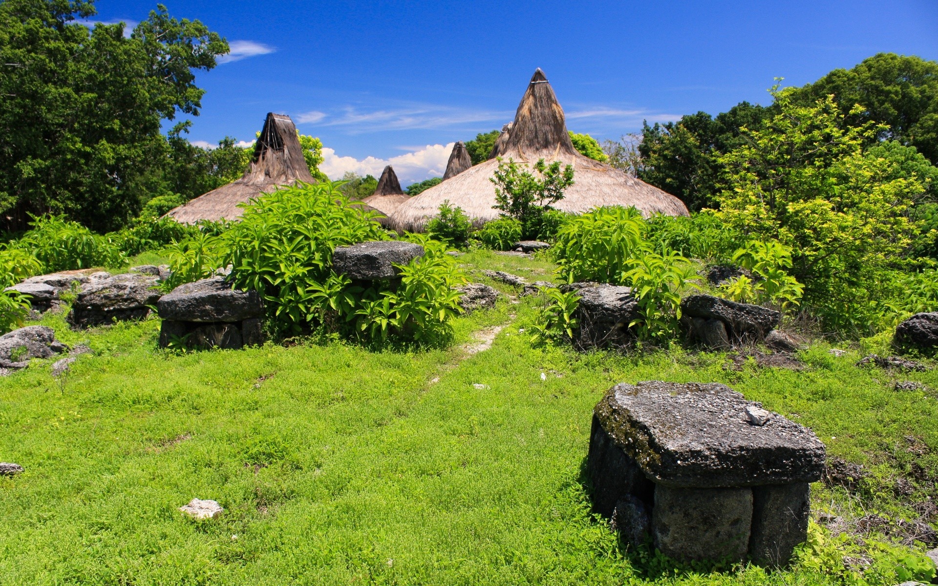 ásia viagens paisagem grama natureza pedra ao ar livre verão árvore rocha céu caminhadas cênica montanhas antigo feno colina madeira