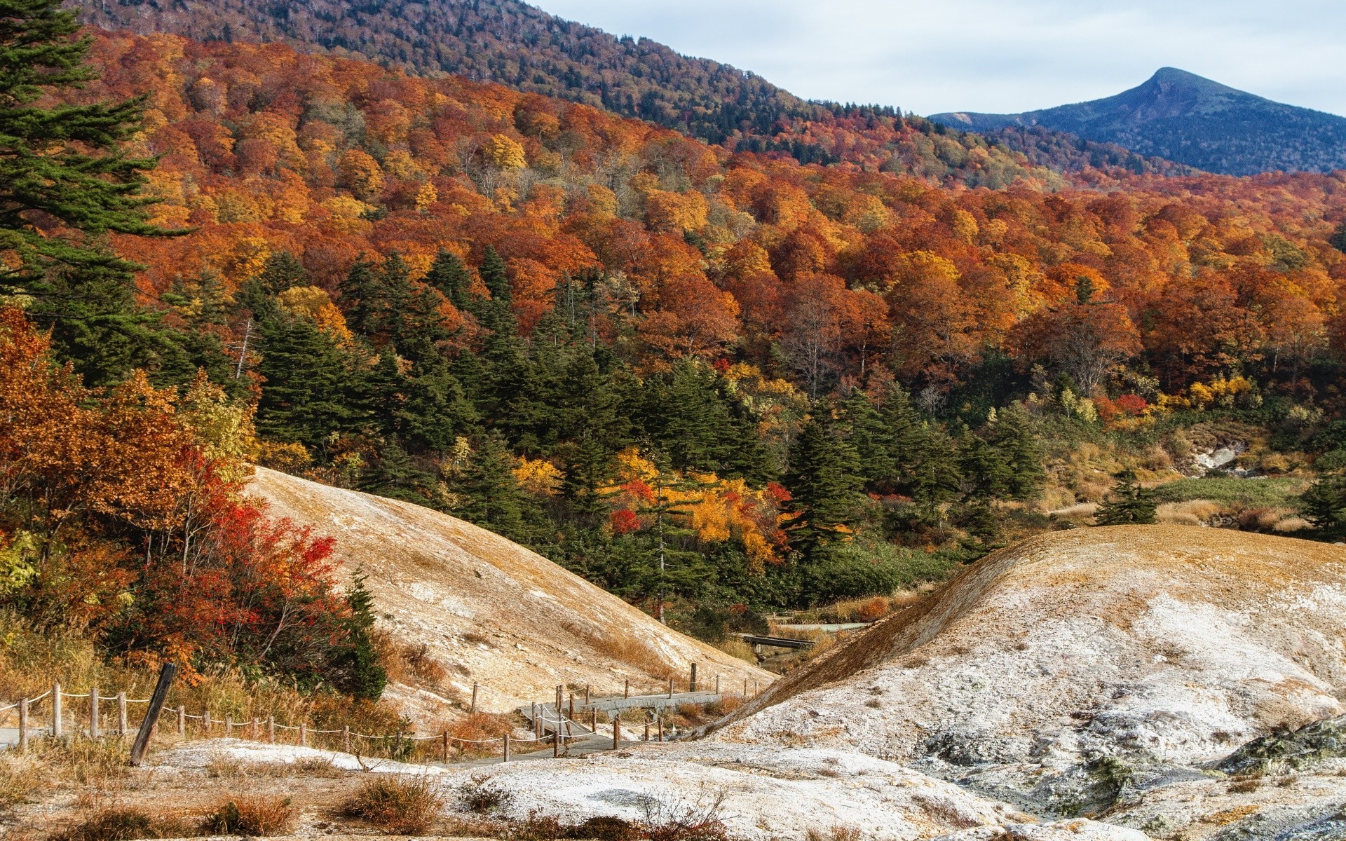 asie paysage nature voyage montagne automne rock scénique à l extérieur arbre ciel bois parc tourisme spectacle vallée eau colline paysage