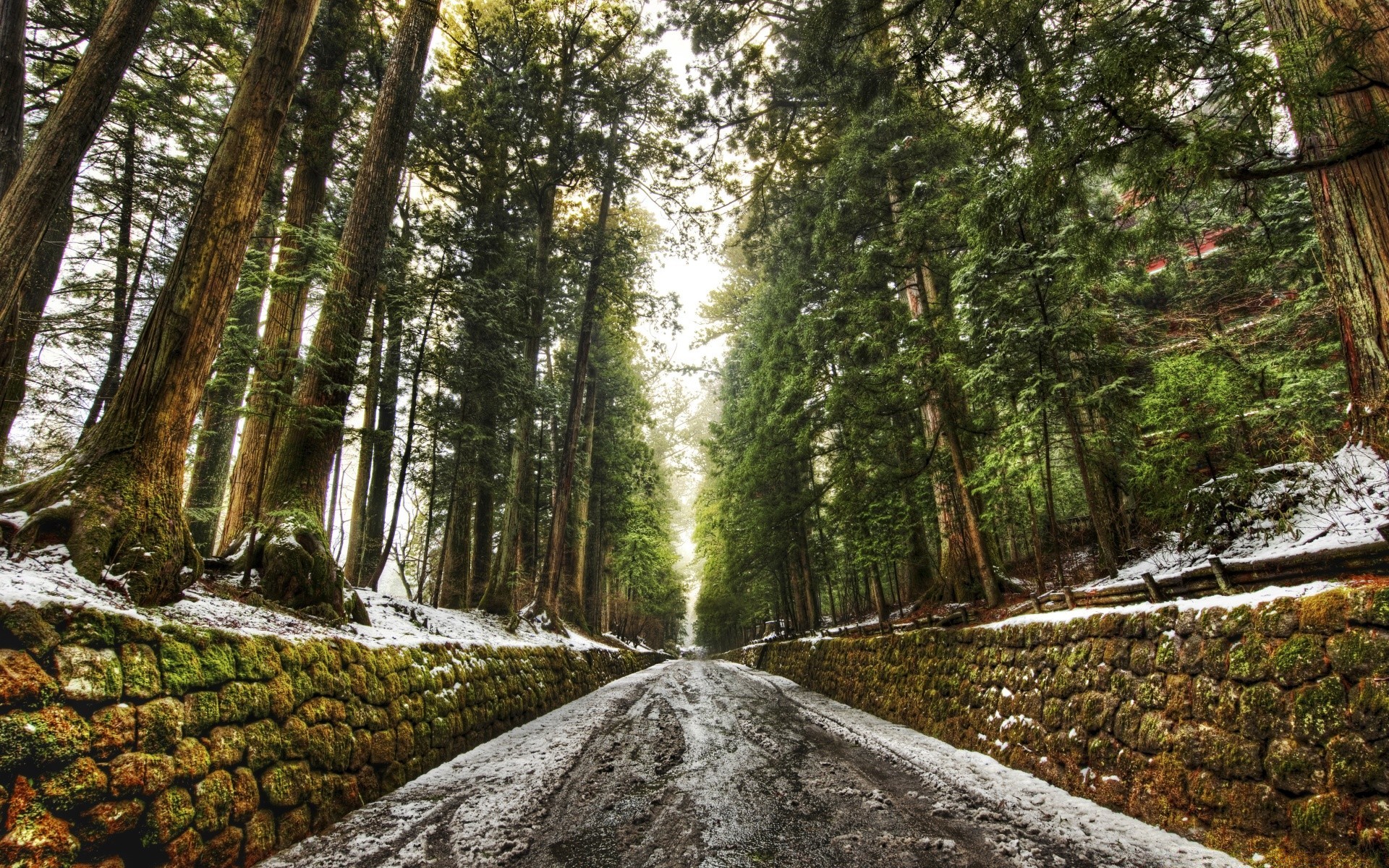 asia legno natura albero paesaggio foglia ambiente parco all aperto scenic guida flora paesaggio selvaggio estate