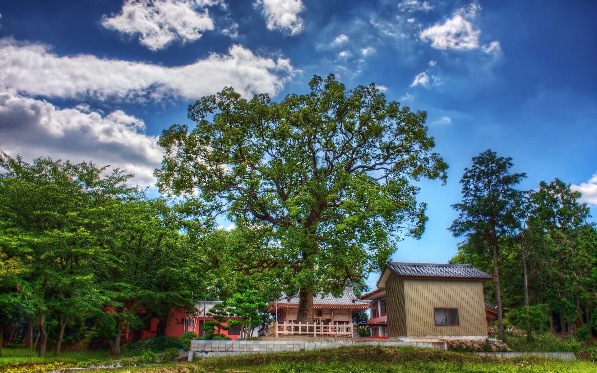 asia árbol madera paisaje naturaleza hierba rural verano cielo al aire libre país campo césped parque granja escénico casa