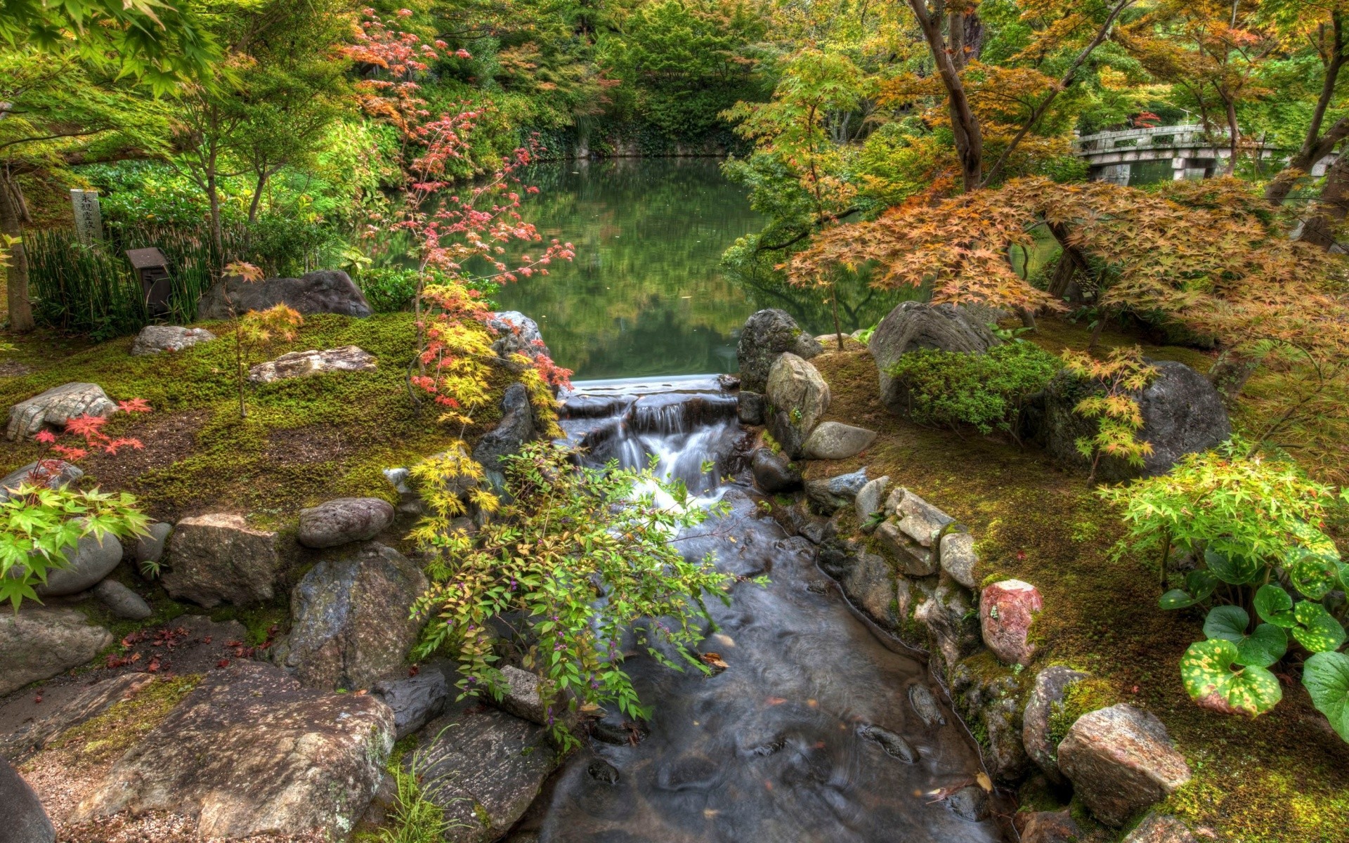 asien wasser natur stein fluss blatt fluss rock herbst holz landschaft holz im freien park garten reisen wasserfall sommer schrei fluss