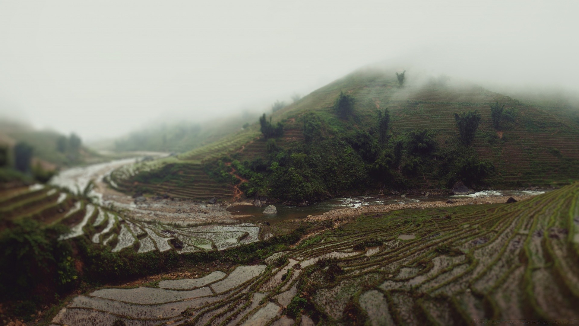 asia landscape travel cropland nature fog mountain agriculture road hill farm tree sky valley countryside field outdoors water rural mist