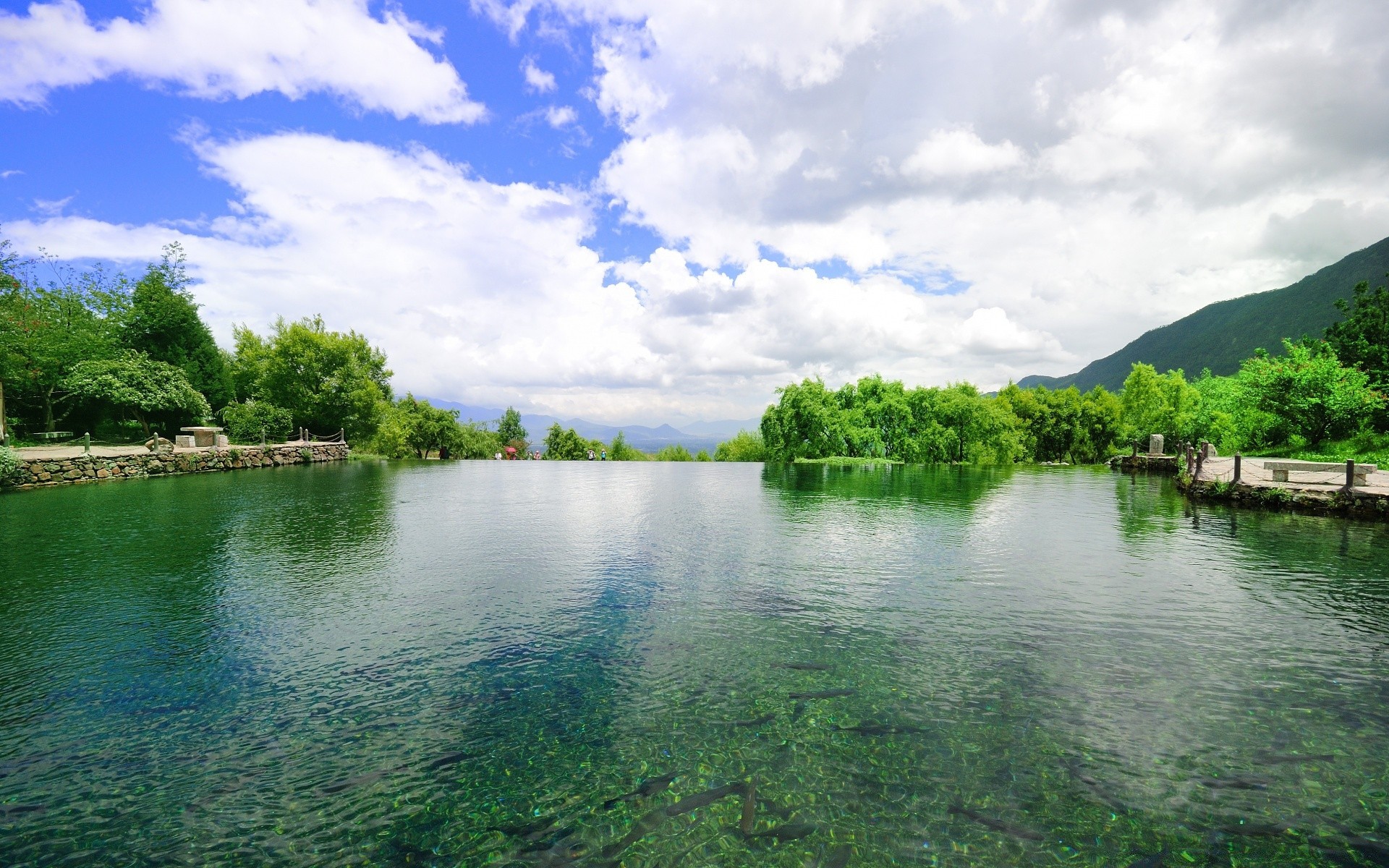 asia water nature lake summer tree river landscape reflection wood travel sky outdoors grass composure tropical pool idyllic fair weather rural