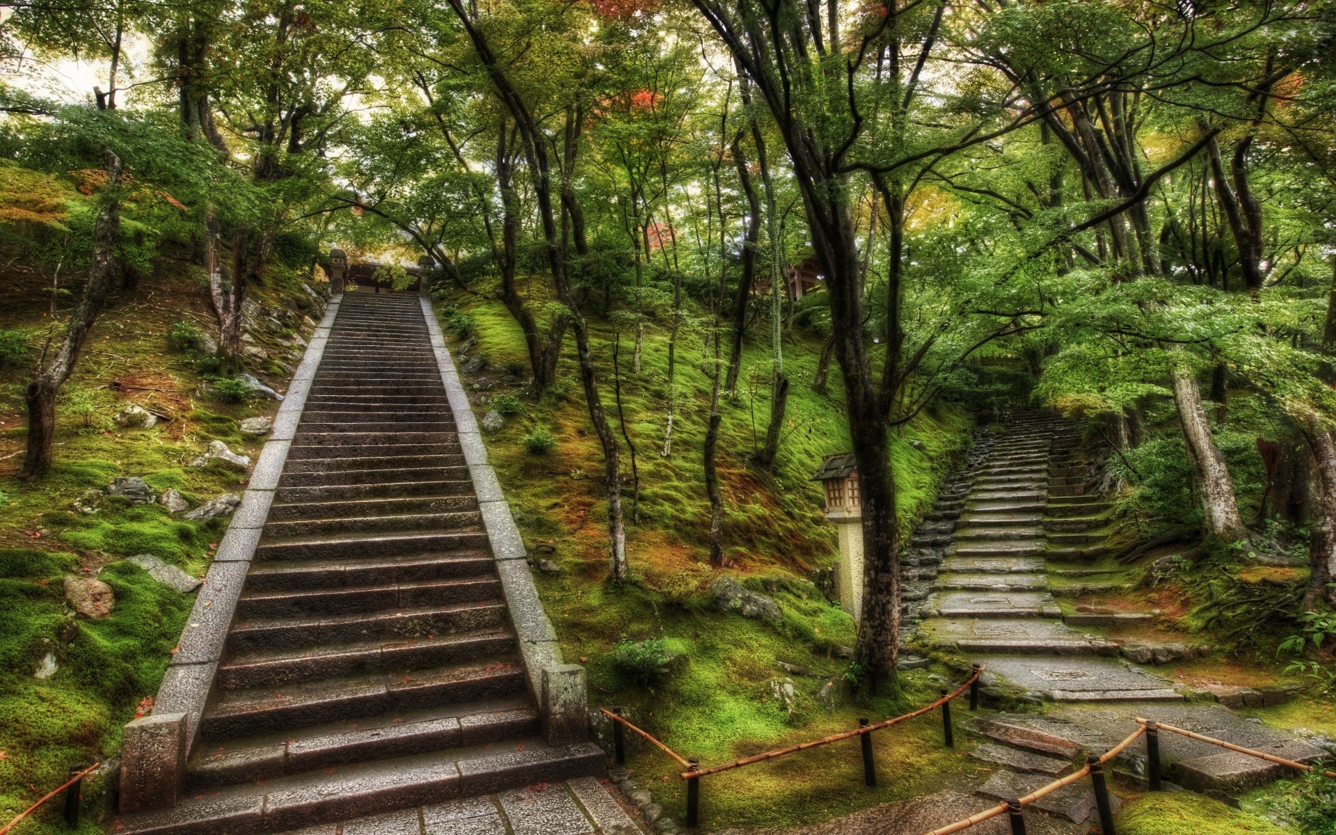 asia wood nature guidance footpath tree leaf landscape park trail walk environment boardwalk lush outdoors hike scenic rural summer scenery