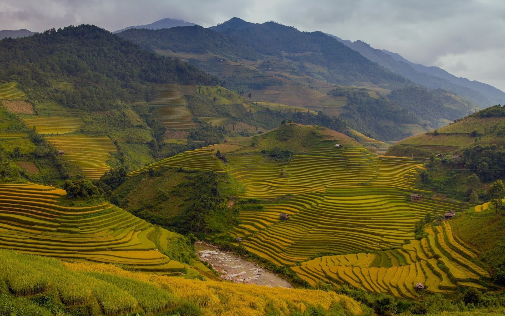 asie terres cultivées vallée agriculture paysage voyage en plein air montagnes nature colline campagne arbre lumière du jour ciel