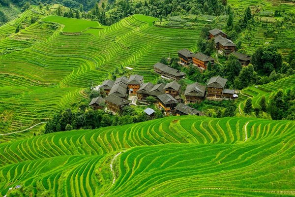 A village surrounded by green colors