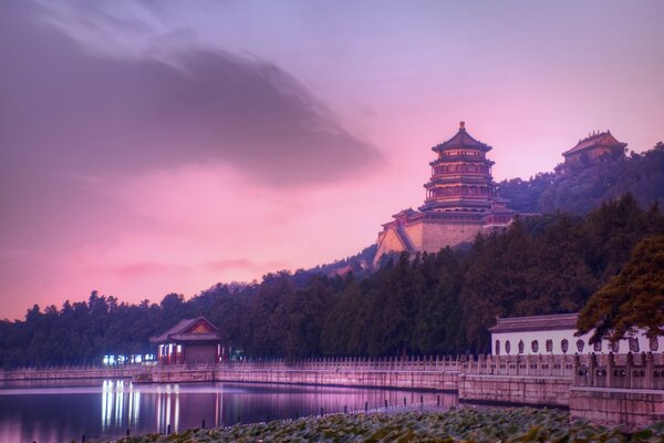 Flieder asiatischer Sonnenuntergang am Wasser