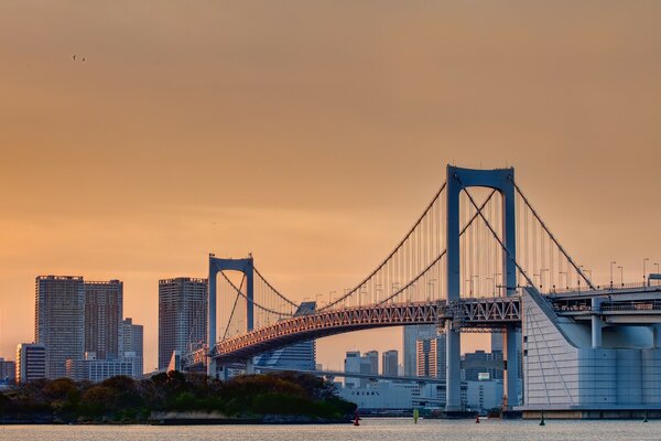 Modern bridge in a big city