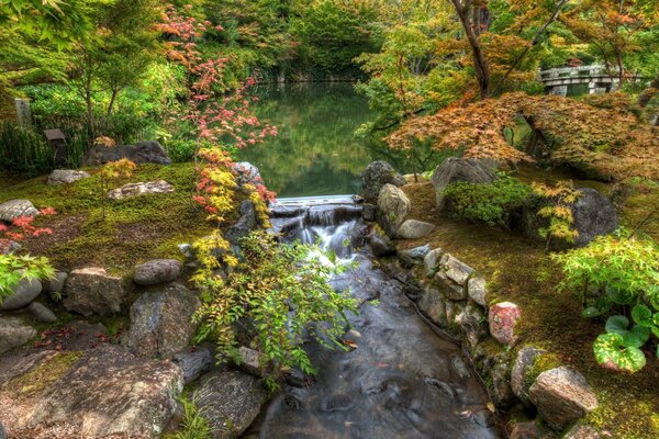 River stream with beautiful stones