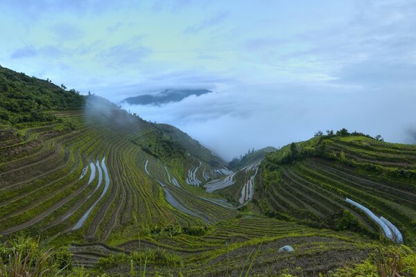 Longsheng Reis Terrasse