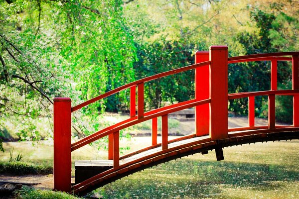 Wooden bridge in a quiet park