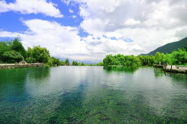 Lago limpido in una giornata estiva