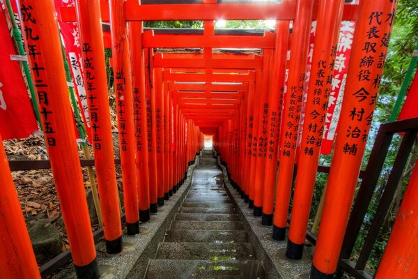 Steile Treppe im Shinto-Tempel