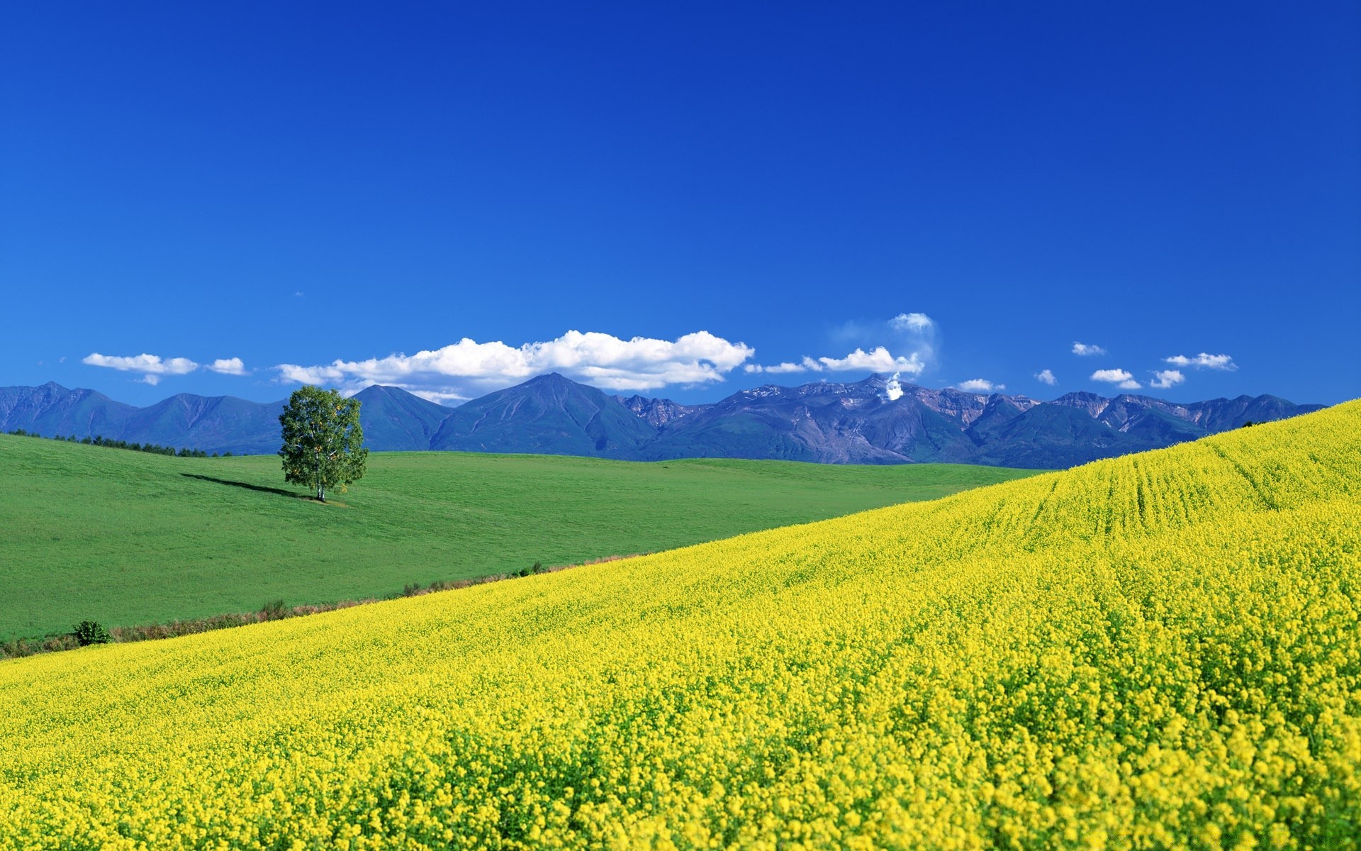 asia landscape rural agriculture field nature summer countryside hayfield sky pasture outdoors farm grass fair weather scenic country idyllic farmland growth