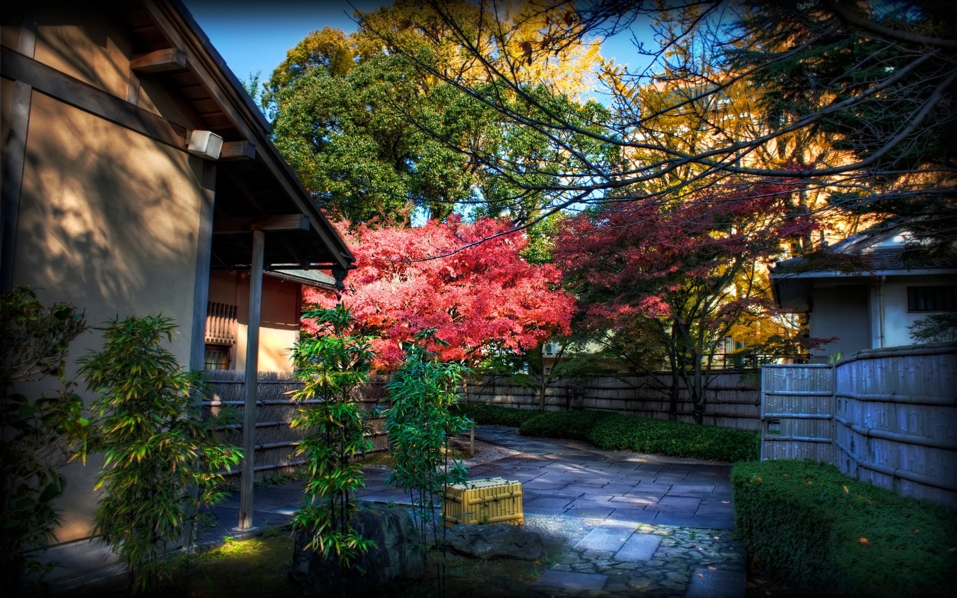 asia tree garden house fall leaf architecture outdoors wood park building nature home landscape season flower color