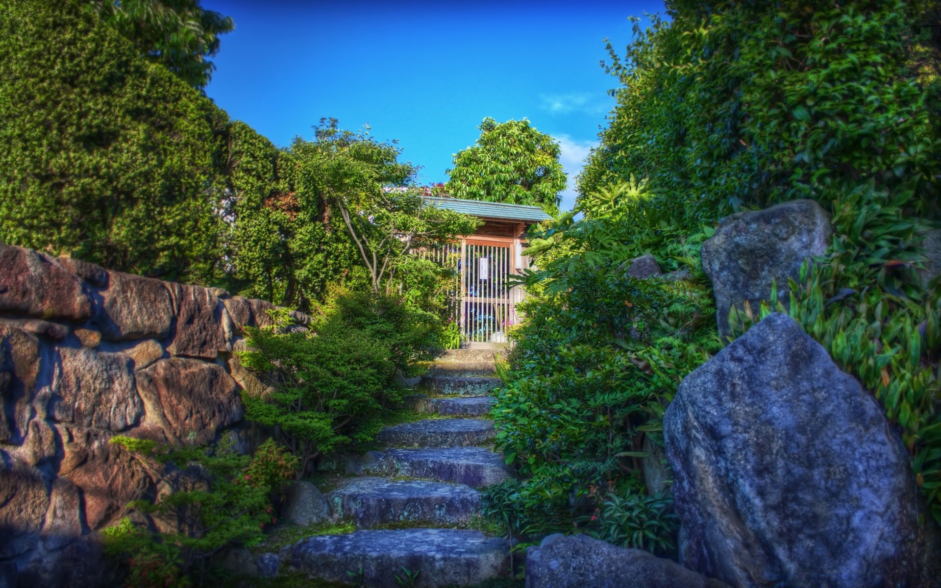 asie nature arbre jardin parc à l extérieur voyage paysage été pierre bois feuille eau herbe flore rock scénique