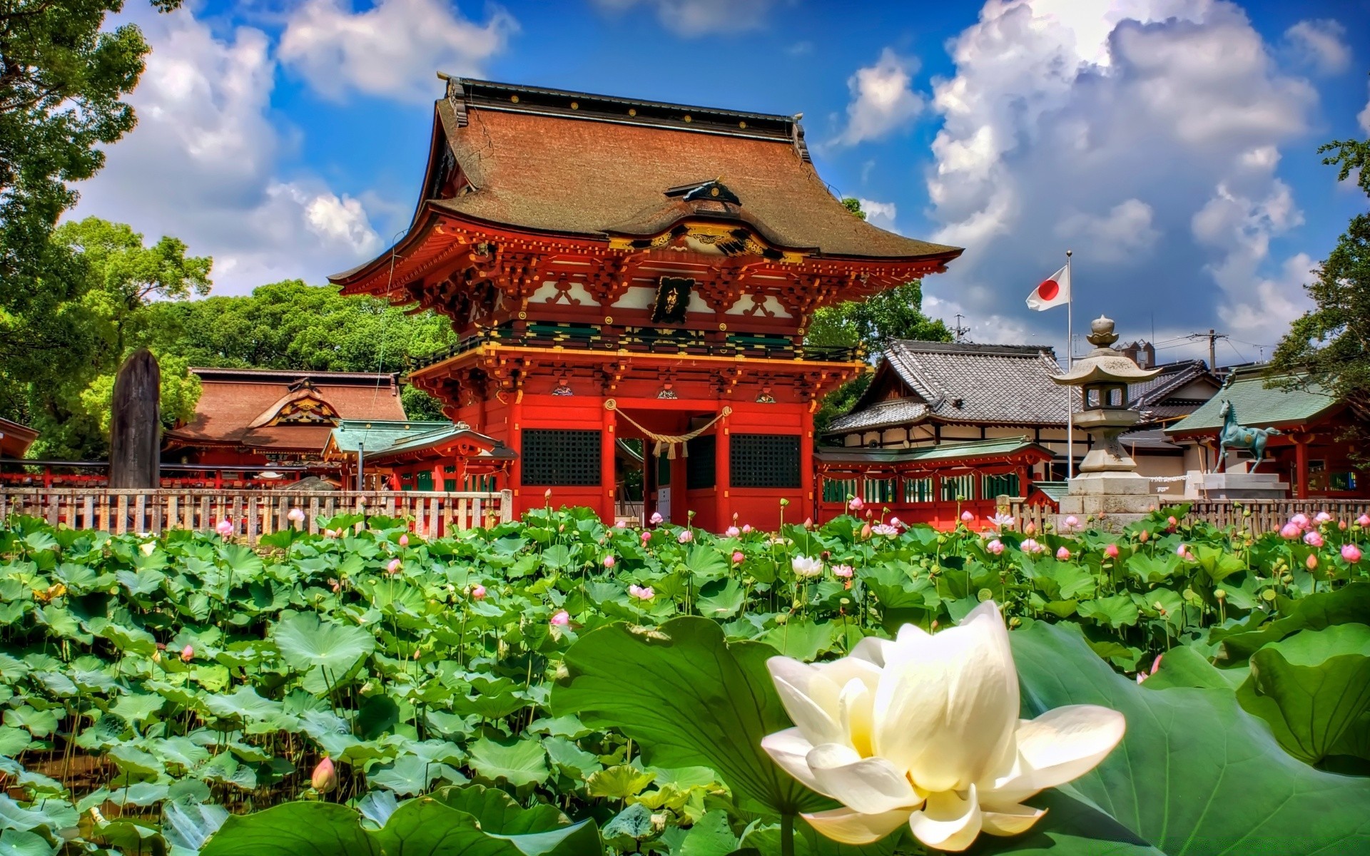 asien garten schwimmbad blume reisen sommer zen park flora heilig natur tropisch lotus landschaft architektur blatt schön religion im freien welt