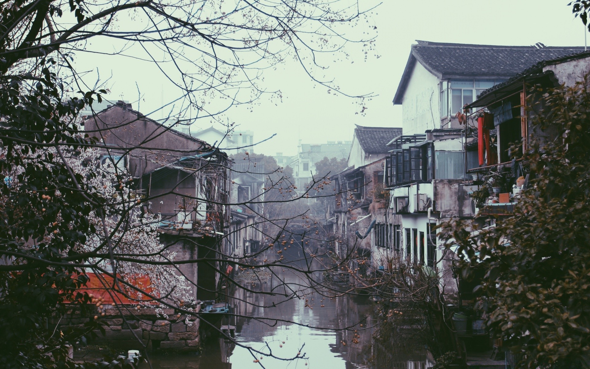 asien haus haus architektur baum zuhause alt reisen stadt im freien wasser katastrophe familie landschaft holz winter urban