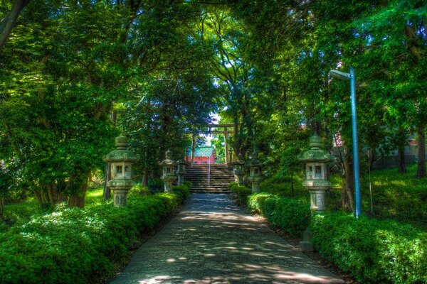 The road to the lovely house along the green alley