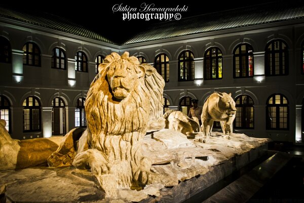 Sculptures d animaux sauvages au musée