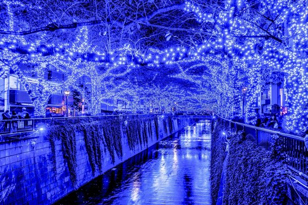 Un río rodeado de siluetas de árboles luminosos