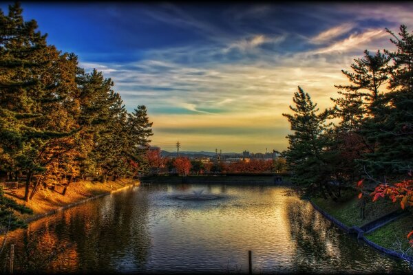 Evening lake. Beautiful landscape