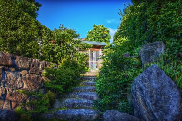 Beauté du jardin Oriental en été