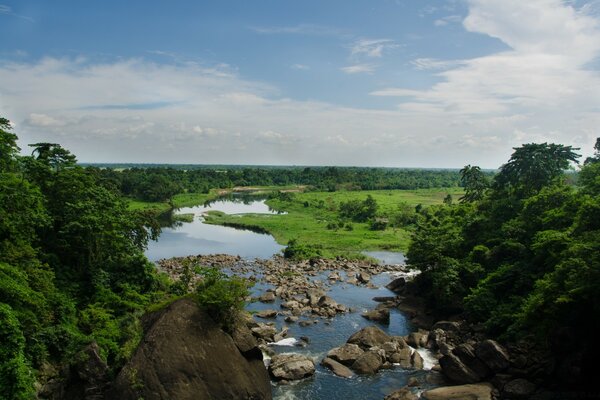 The forest river burst into the field