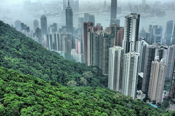 Vista dei grattacieli della città asiatica