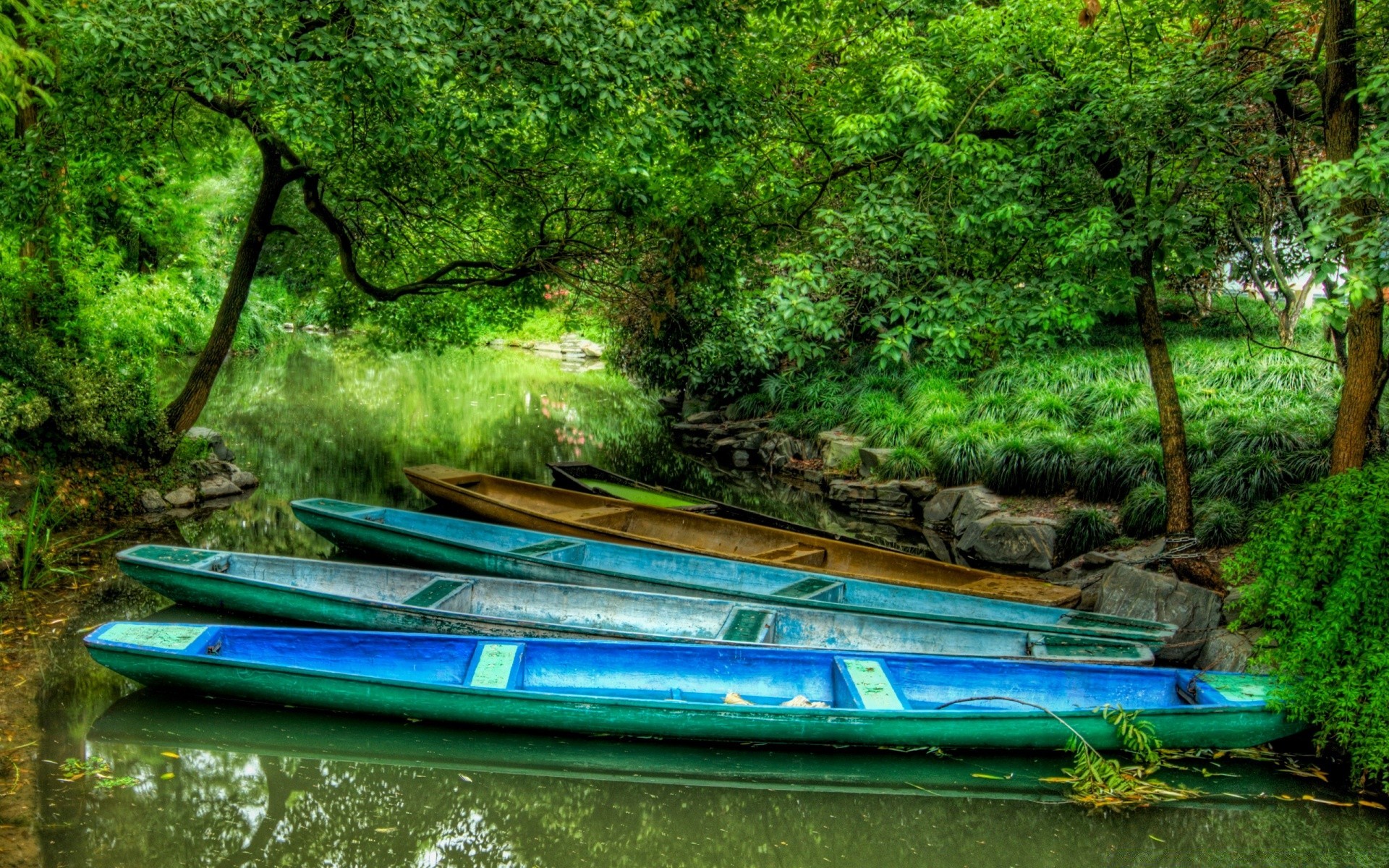 asia water wood river tree nature landscape tropical travel boat summer canoe jungle leaf scenic environment recreation outdoors paradise beautiful park