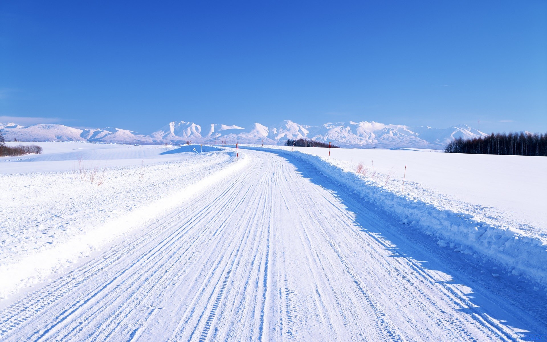 asien schnee winter kälte frost eis gefroren wetter frostig holz gutes wetter natur im freien landschaft