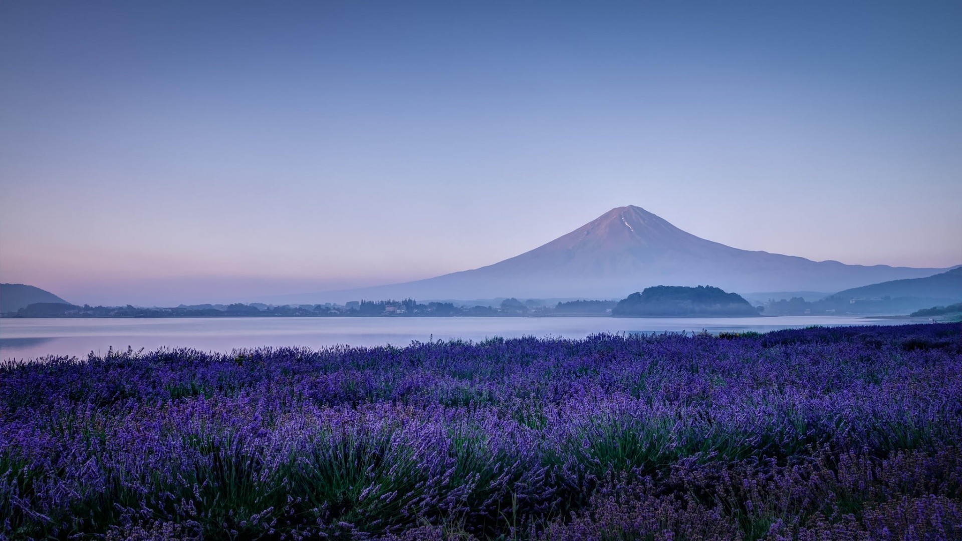 asia landscape flower nature outdoors travel sky sunset summer field scenic water flora