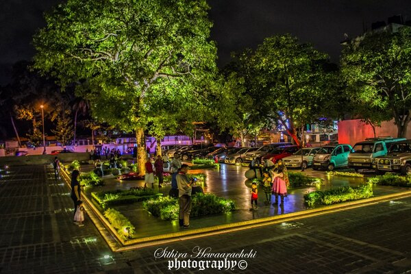 Family in a small bright park