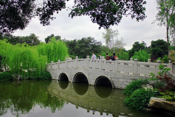 城市公园池塘上的桥梁