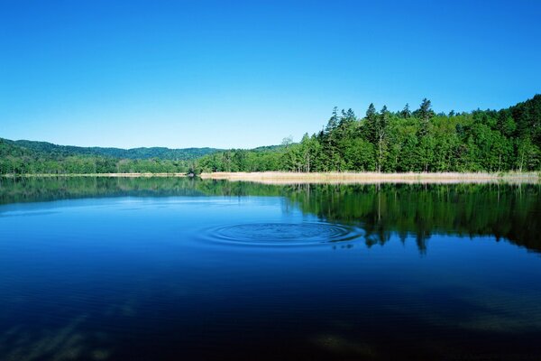 Lake, reflection in water, nature