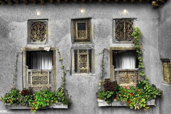 Windows with balconies in oriental style