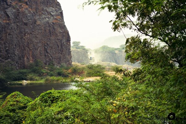 Paisaje verde con una roca sobre el agua