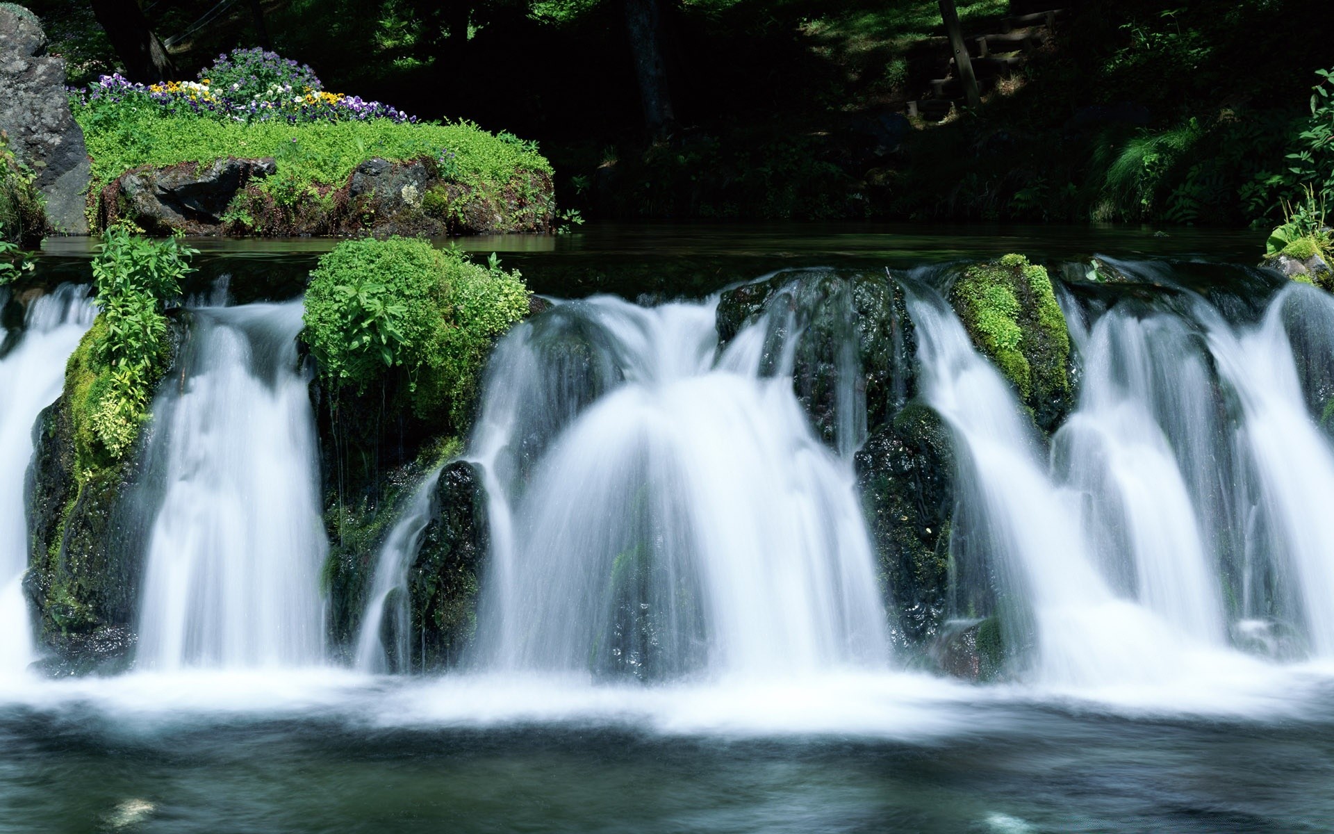 azja wodospad woda kaskada przepływ rzeka natura jesień przepływ ruch czystość na zewnątrz drewno mokry czysty liść rock slick travel splash