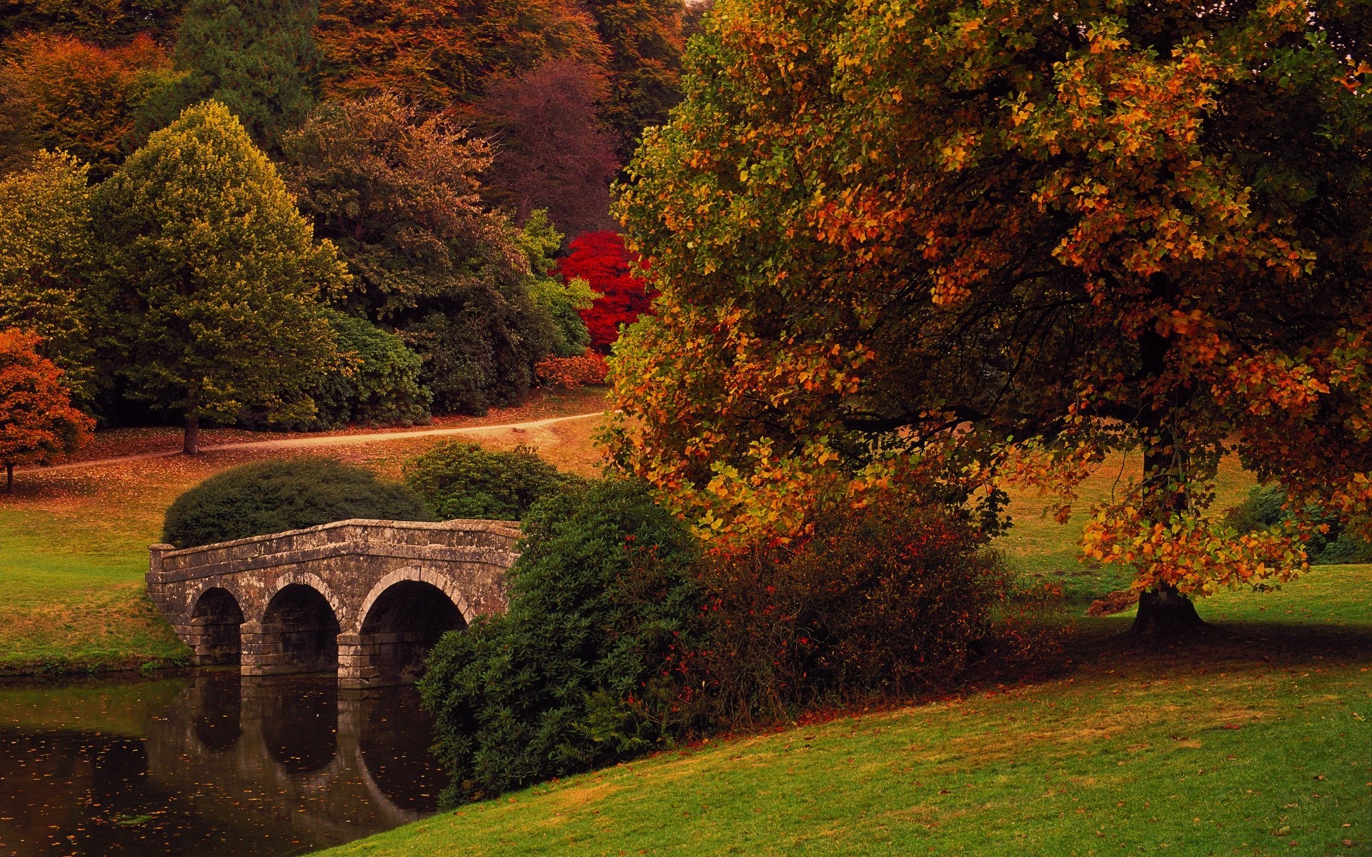 l europe arbre automne feuille à l extérieur paysage parc voyage scénique