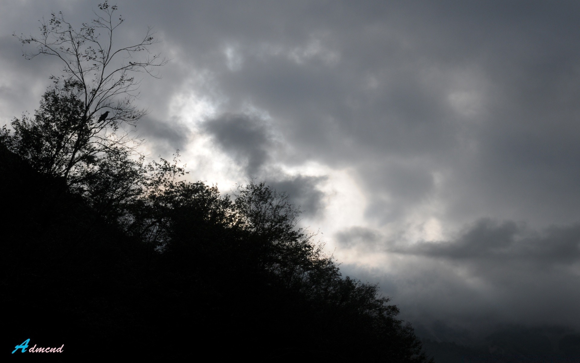 asien natur himmel nebel landschaft sonne sonnenuntergang dämmerung baum dunkel monochrom silhouette nebel mond im freien