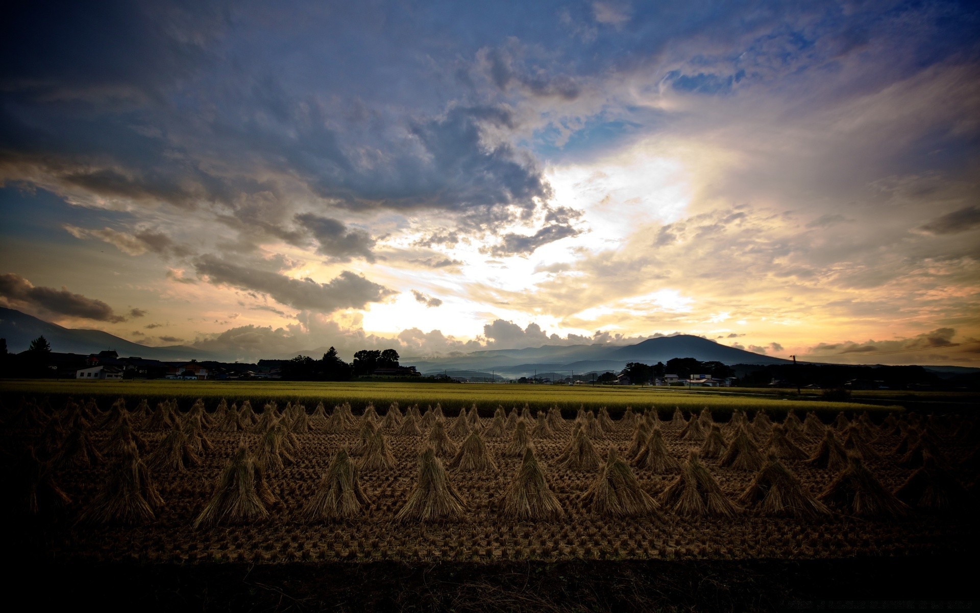 asie coucher de soleil ciel paysage nature soir soleil sombre crépuscule à l extérieur or aube nuage ferme lumière horizon tempête