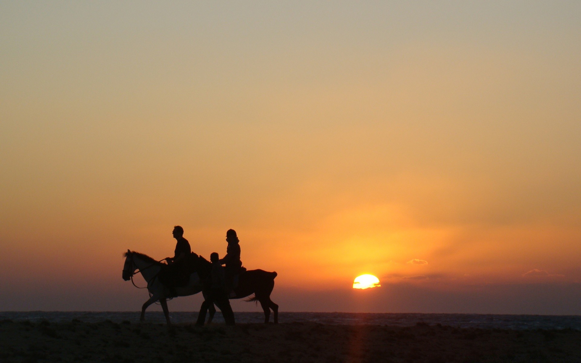 asia sunset dawn backlit sun cavalry evening sitting silhouette dusk mammal landscape travel sky outdoors fog fair weather