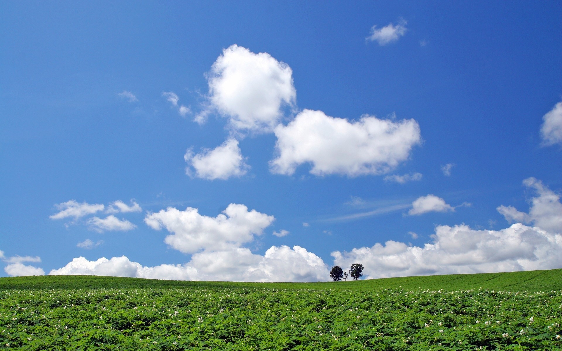 asien landschaft natur himmel landwirtschaft des ländlichen weide im freien feld bauernhof sommer landschaft gras ackerland gutes wetter bebautes land weide baum boden wolke