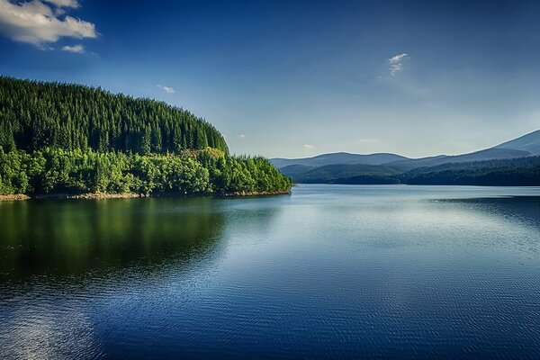 Beau lac naturel et forêt à proximité