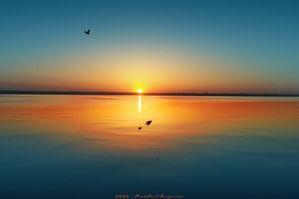 Un alba affascinante sulla riva