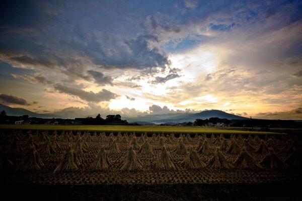 Bellissimo tramonto con nuvole nella natura