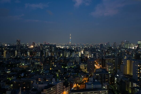 Viajes nocturnos por las ciudades de Asia