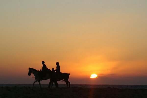 Horse riding at sunset